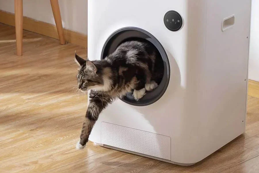 biggest litter box